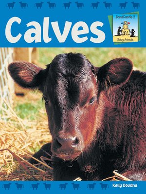 cover image of Calves